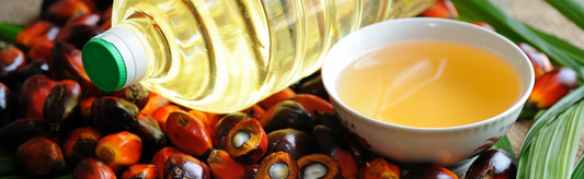 The Power of Non-Inflammatory Cooking Oils for Your Health